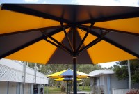 Market Vinyl Umbrella (No Scallop).